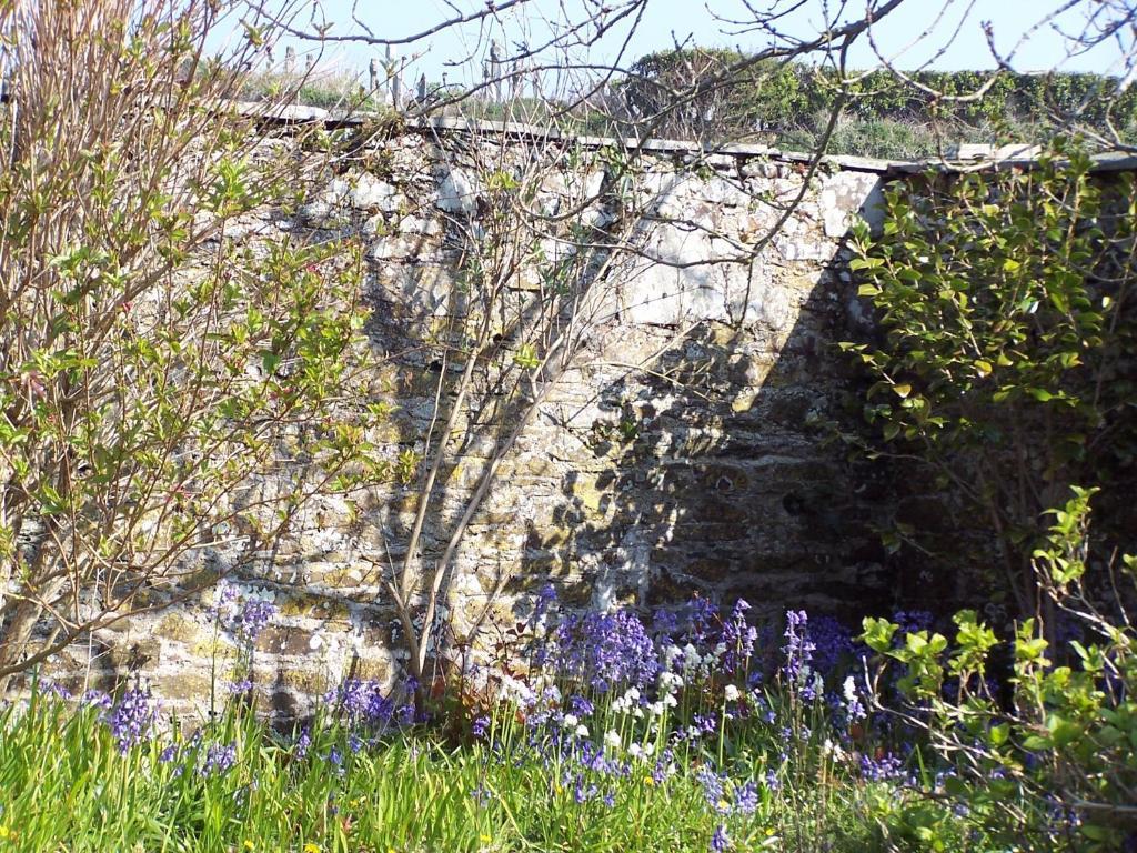 The Old Parsonage Bed & Breakfast Boscastle Exterior foto