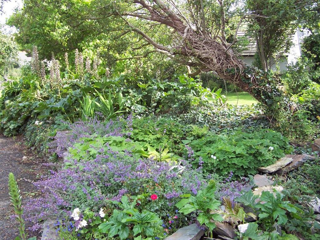 The Old Parsonage Bed & Breakfast Boscastle Exterior foto