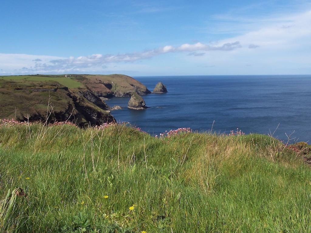 The Old Parsonage Bed & Breakfast Boscastle Exterior foto