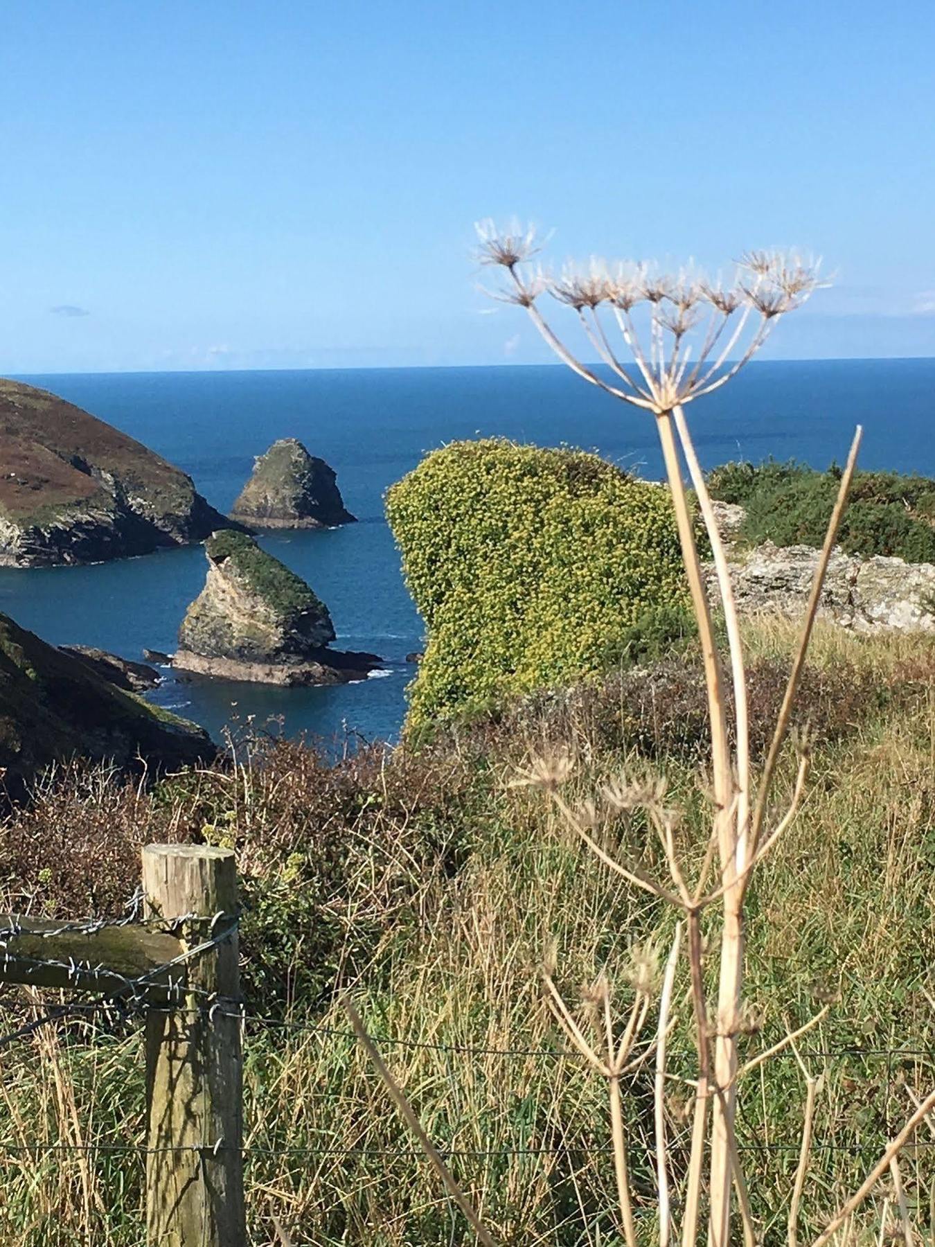 The Old Parsonage Bed & Breakfast Boscastle Exterior foto